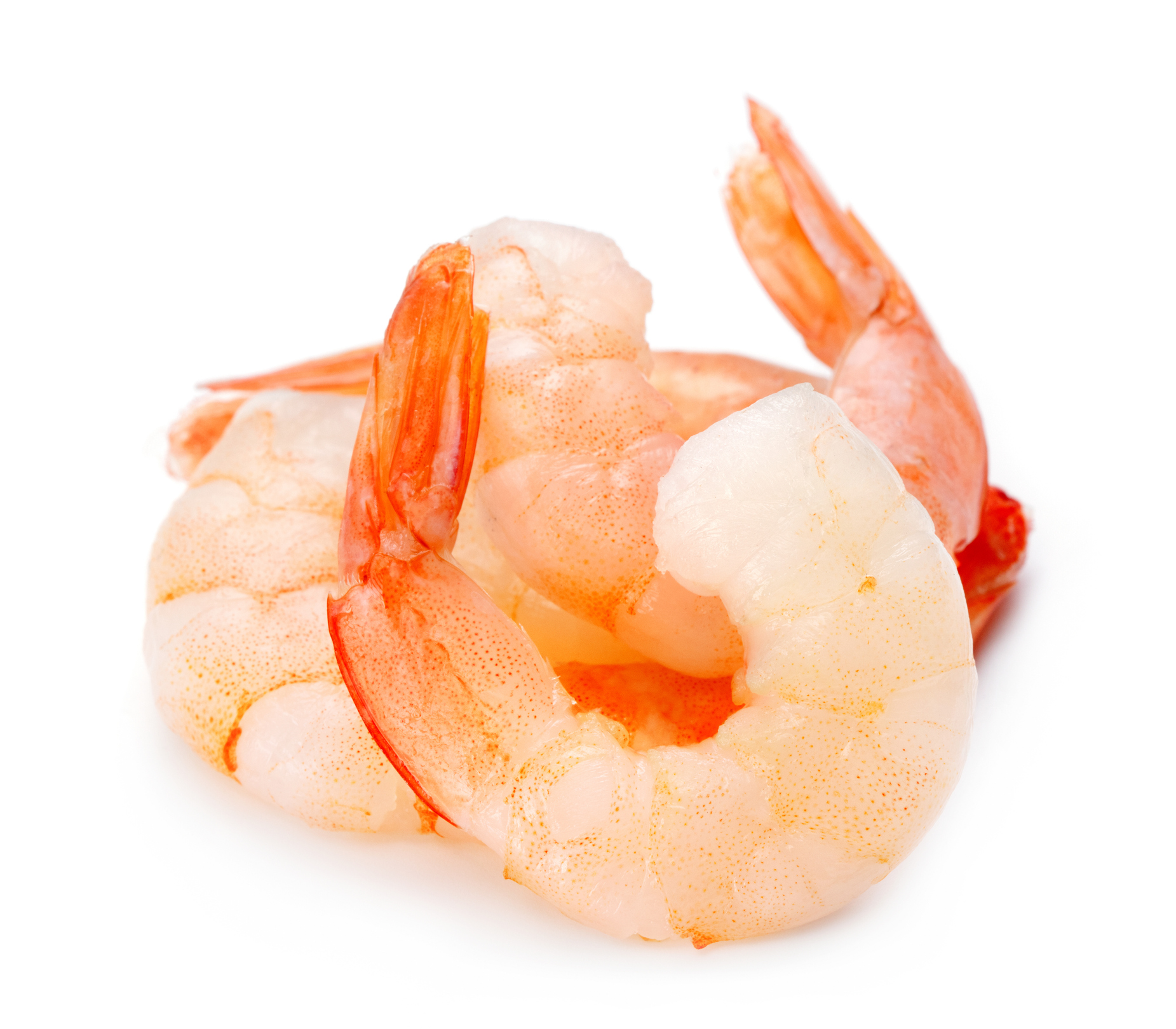 Shrimp